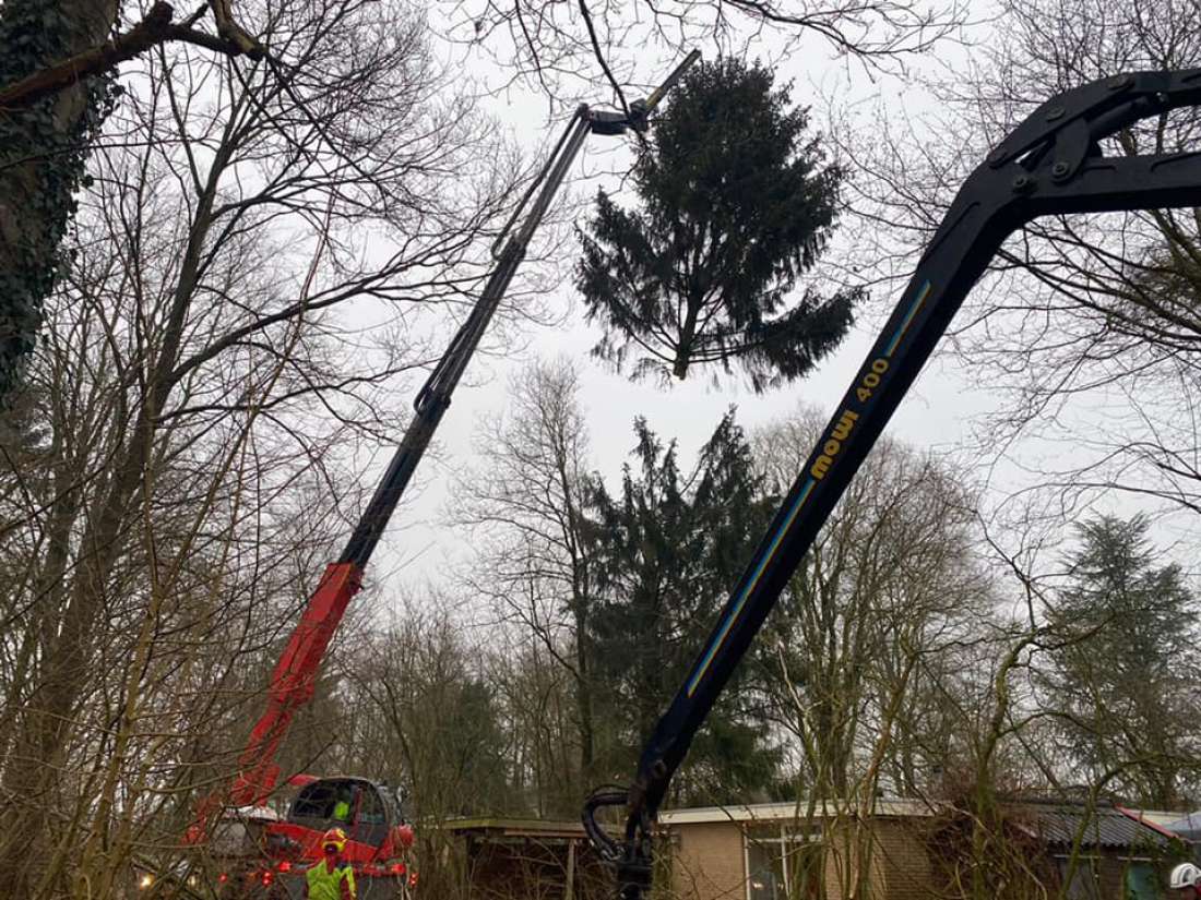 bomen kappen met kraan